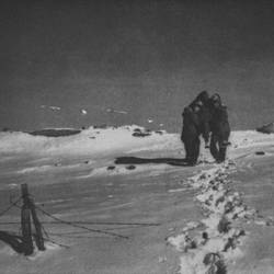 Dyskinesia (ITA) : Dalla Nascita